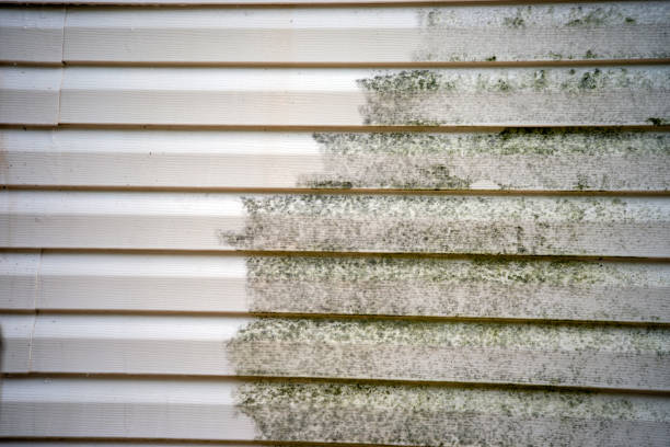 Custom Trim and Detailing for Siding in South Fulton, GA